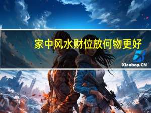 家中风水财位放何物更好（家中风水财位）