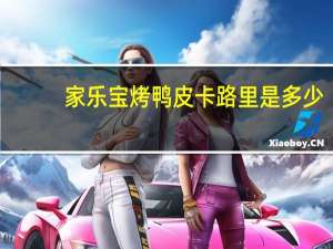 家乐宝 烤鸭皮卡路里是多少