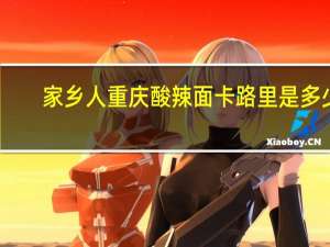 家乡人 重庆酸辣面卡路里是多少