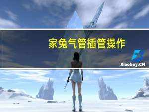 家兔气管插管操作
