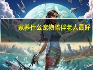 家养什么宠物陪伴老人最好