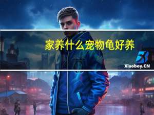 家养什么宠物龟好养
