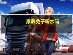 家养兔子喝水吗