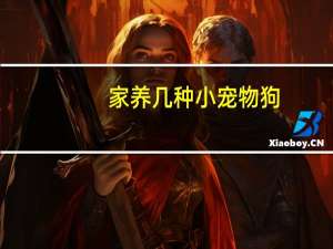 家养几种小宠物狗