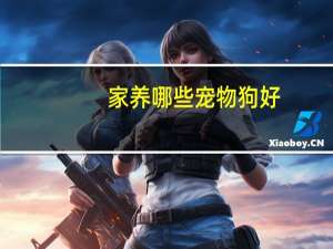 家养哪些宠物狗好