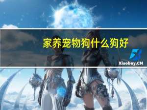 家养宠物狗什么狗好