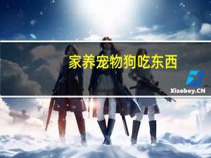 家养宠物狗吃东西