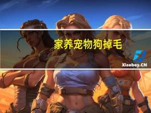 家养宠物狗掉毛