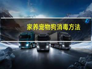 家养宠物狗消毒方法