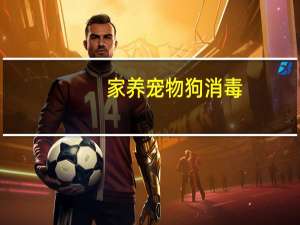 家养宠物狗消毒
