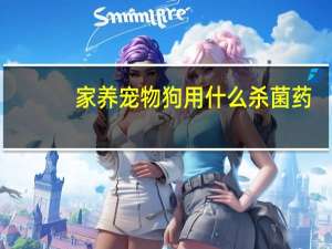 家养宠物狗用什么杀菌药
