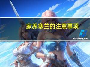 家养寒兰的注意事项