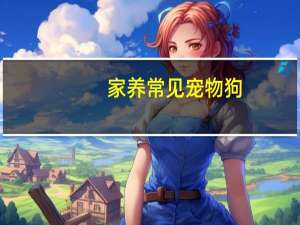 家养常见宠物狗