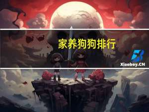 家养狗狗排行
