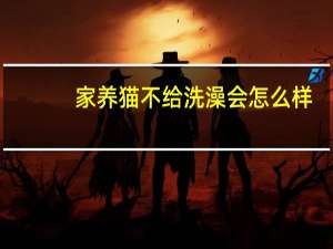 家养猫不给洗澡会怎么样