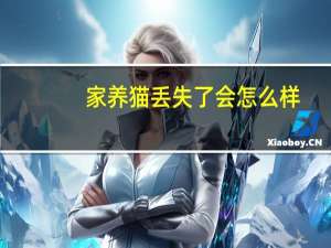 家养猫丢失了会怎么样