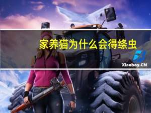 家养猫为什么会得绦虫