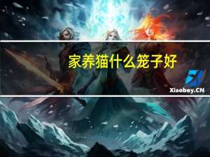 家养猫什么笼子好