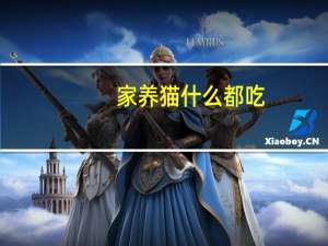 家养猫什么都吃