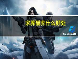 家养猫养什么好处