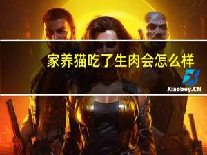 家养猫吃了生肉会怎么样