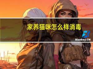 家养猫咪怎么样消毒