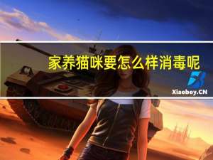 家养猫咪要怎么样消毒呢