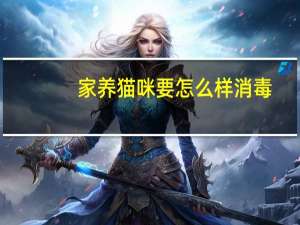 家养猫咪要怎么样消毒