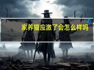 家养猫应激了会怎么样吗