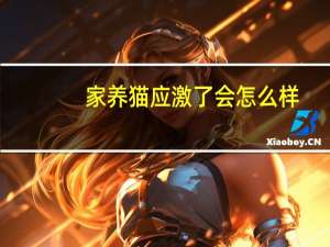 家养猫应激了会怎么样