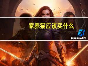 家养猫应该买什么