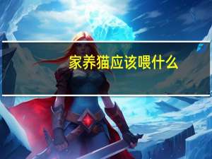 家养猫应该喂什么