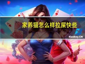 家养猫怎么样拉屎快些