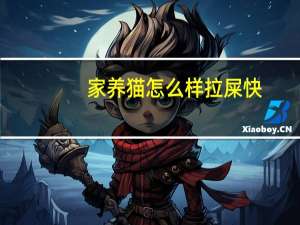 家养猫怎么样拉屎快