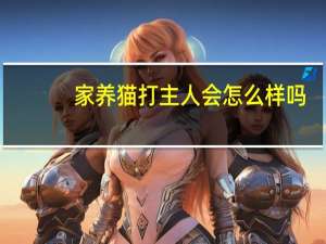 家养猫打主人会怎么样吗