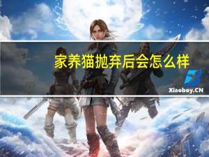 家养猫抛弃后会怎么样