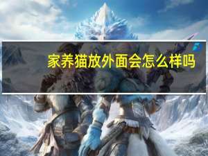 家养猫放外面会怎么样吗