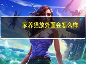 家养猫放外面会怎么样