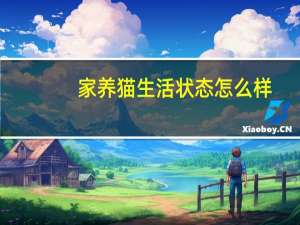 家养猫生活状态怎么样
