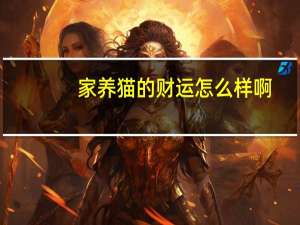 家养猫的财运怎么样啊