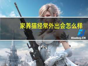 家养猫经常外出会怎么样