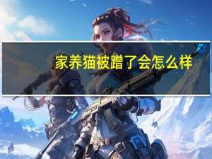 家养猫被蹭了会怎么样