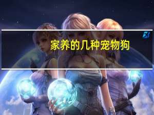 家养的几种宠物狗