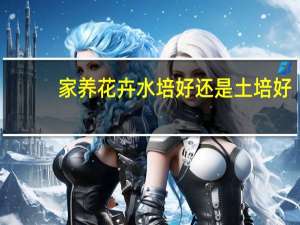 家养花卉水培好还是土培好