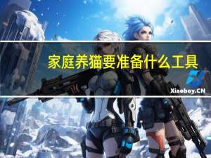家庭养猫要准备什么工具