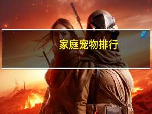 家庭宠物排行