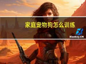 家庭宠物狗怎么训练