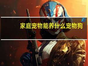 家庭宠物能养什么宠物狗
