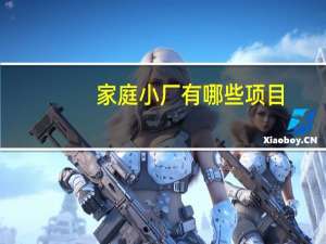家庭小厂有哪些项目