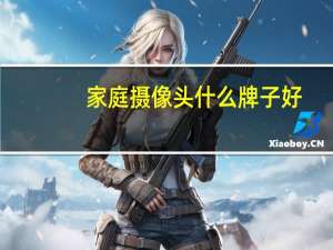 家庭摄像头什么牌子好
